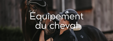 Equipement du cheval West Cheval